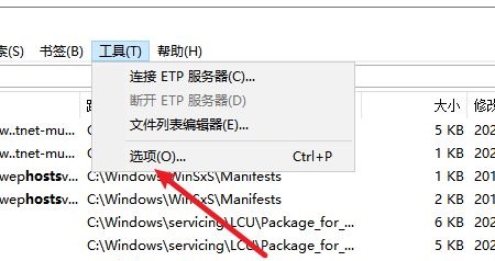 Everything怎么设置显示窗口快捷键