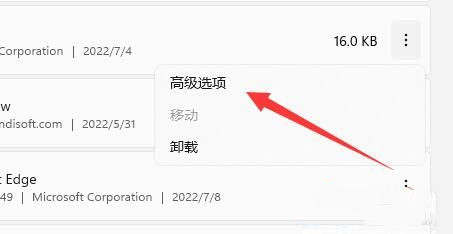 Win11系统WSA无法启动怎么办