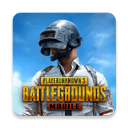 PUBG全球服最新版(PUBG MOBILE)v2.9.0